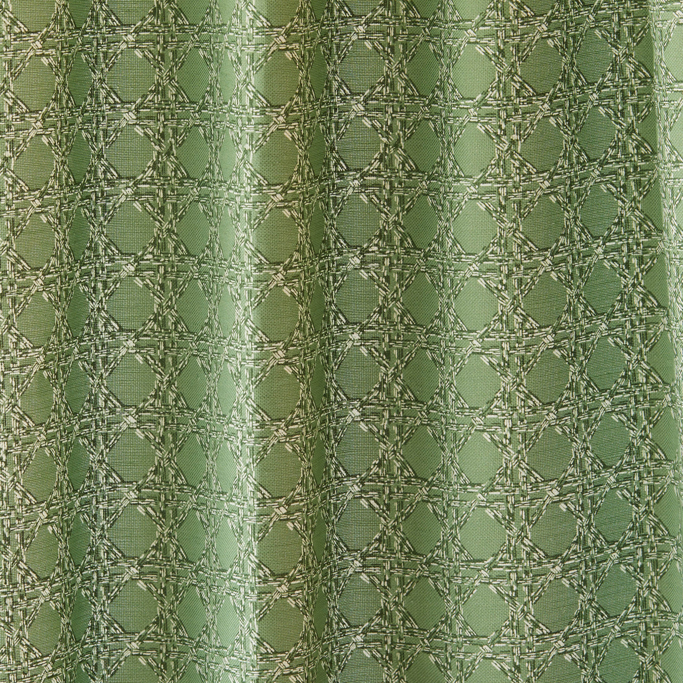 Nevis Fabric in Sage