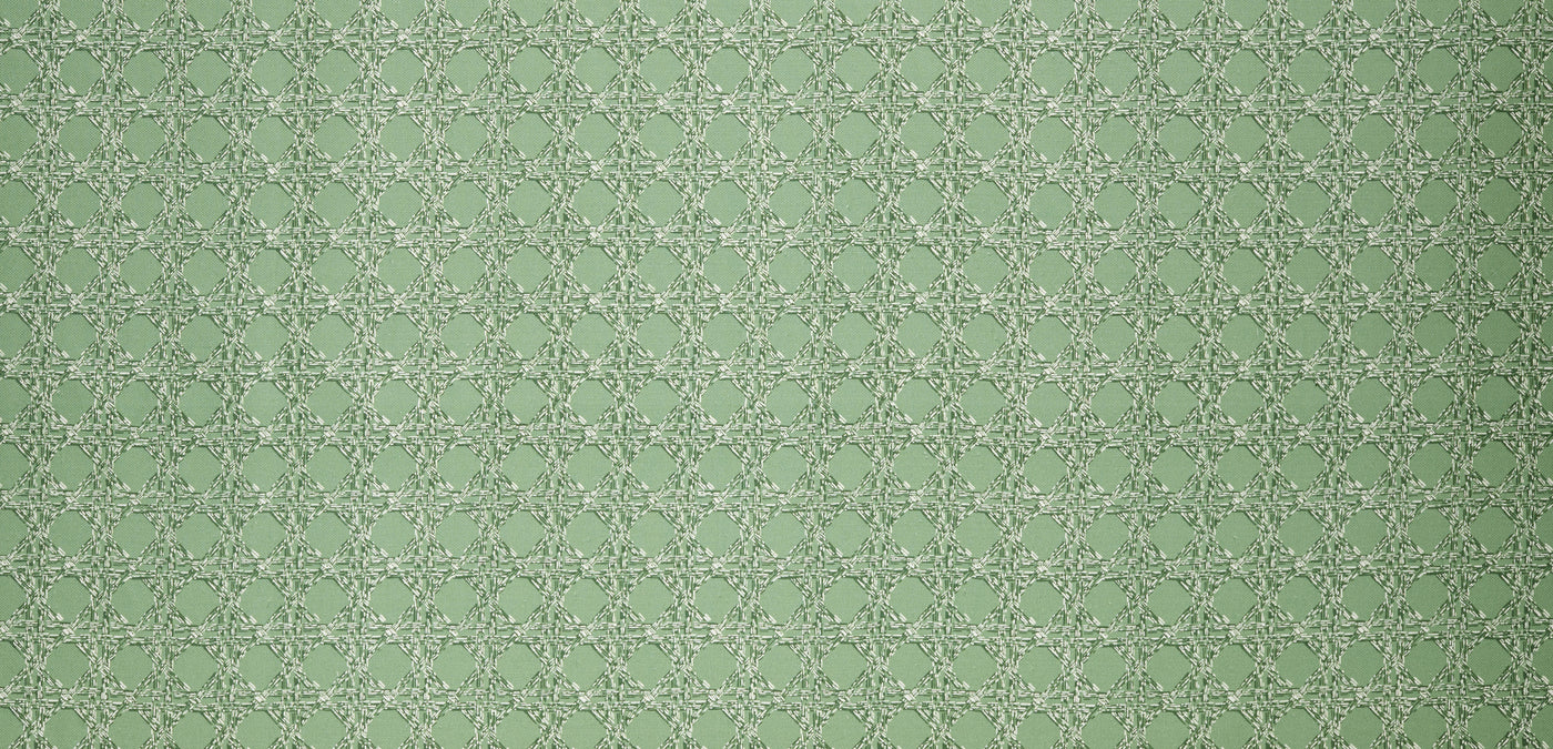 Nevis Fabric in Sage