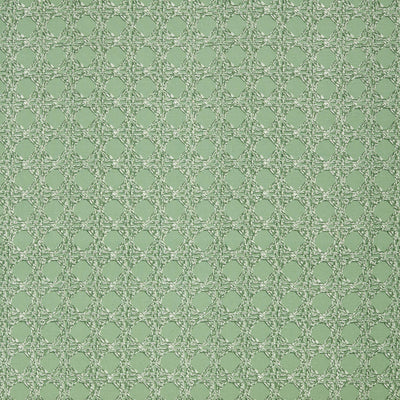 Nevis Fabric in Sage