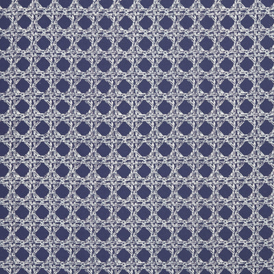 Nevis Fabric in Navy